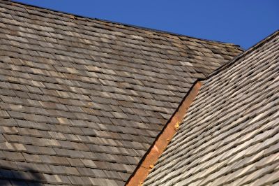 Roofing Companies